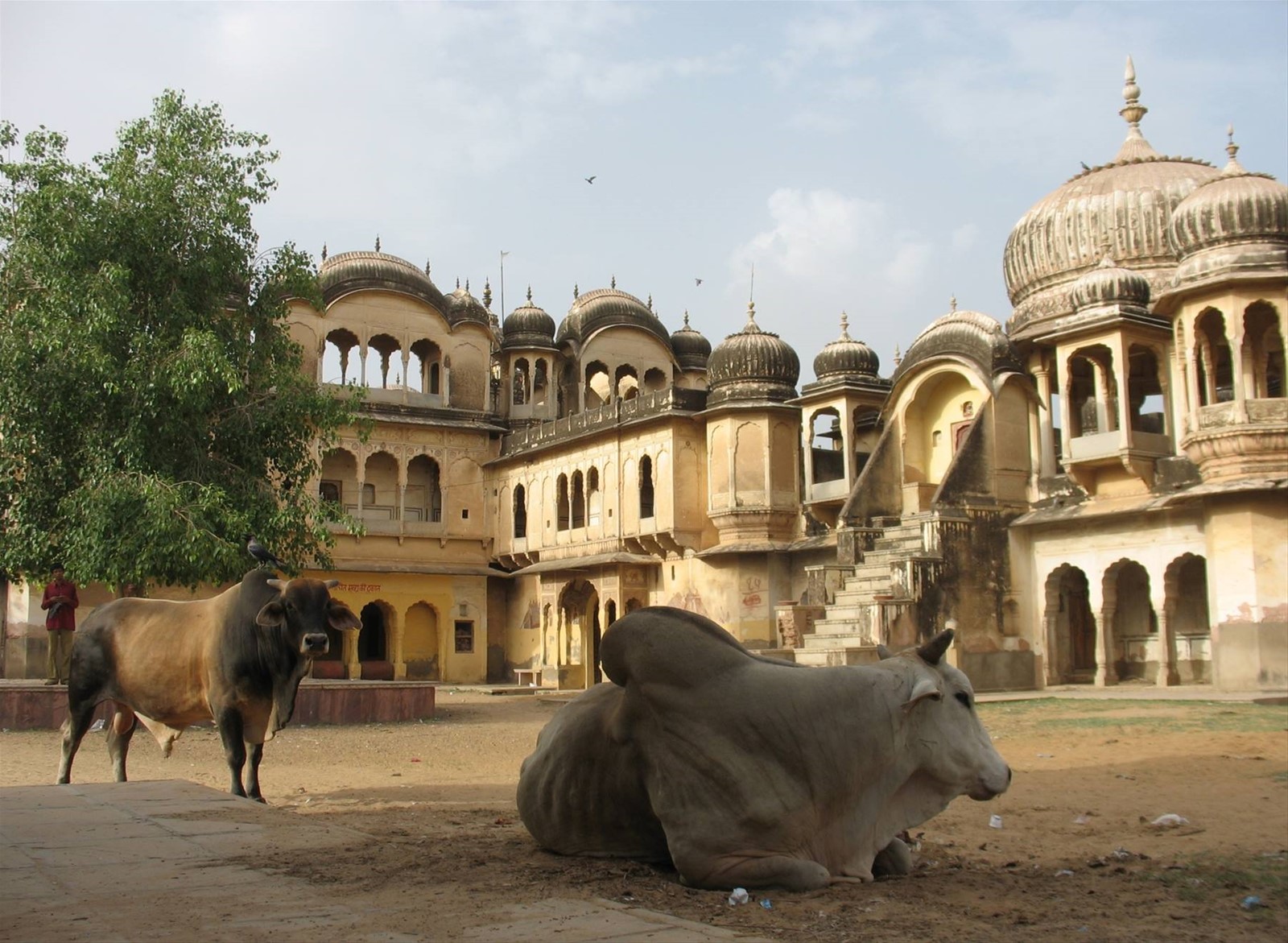 Nawalgarh