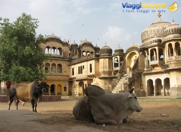 Nawalgarh