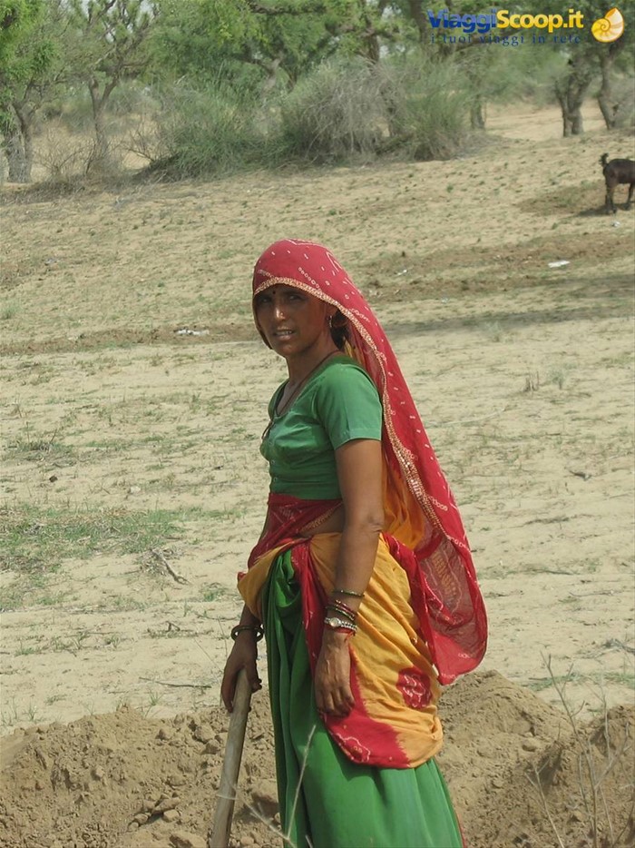 Strada Mandawa - Bikaner