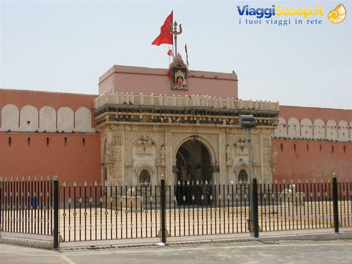 Deshnok - Karni Mata Temple