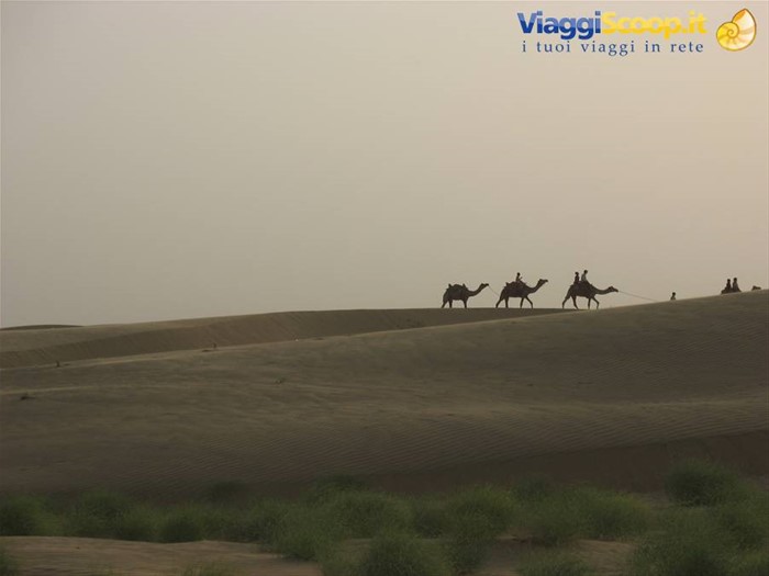 San Sand Dunes