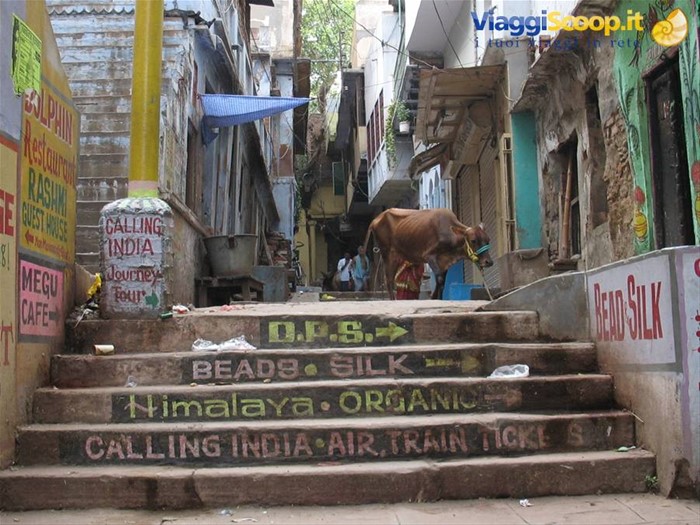 Old Varanasi