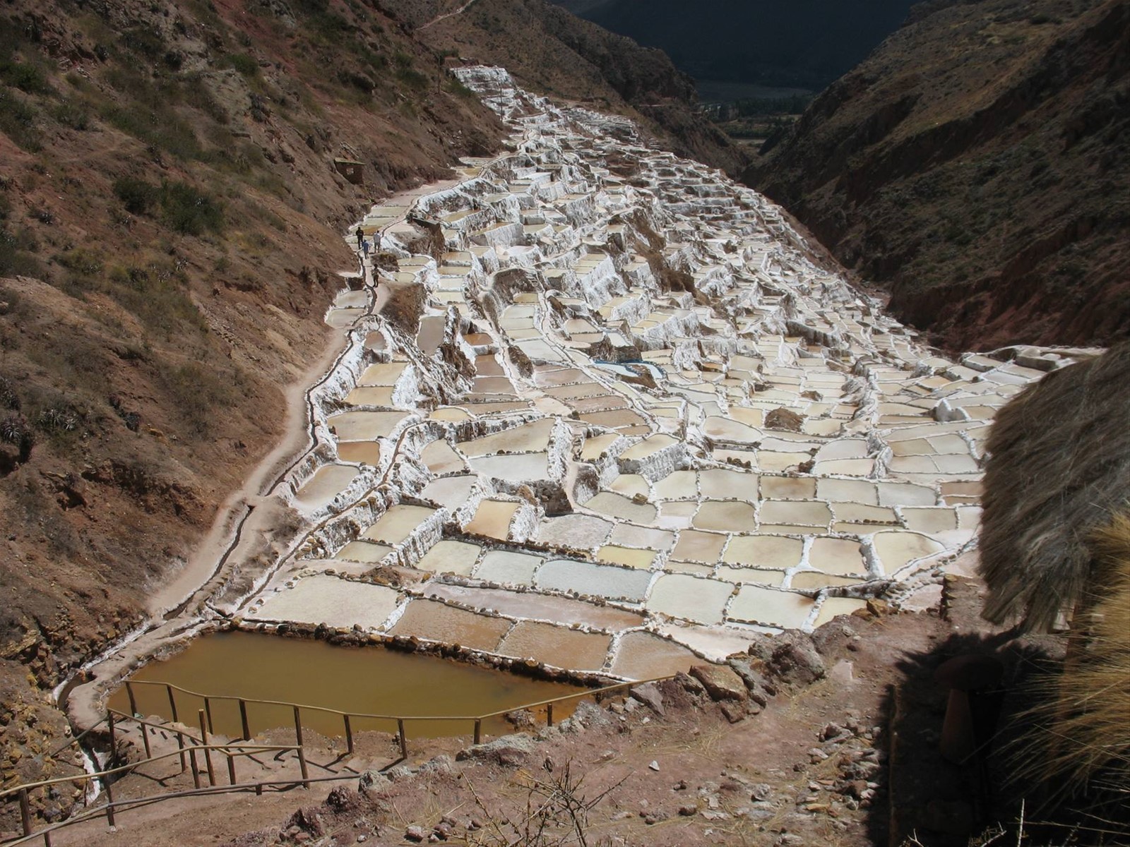 Maras