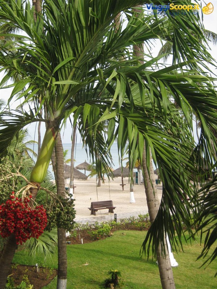 palm beach dalla stanza