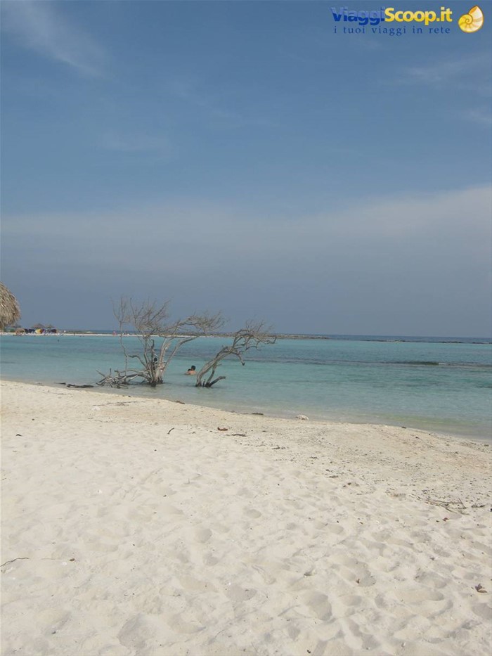 baby beach