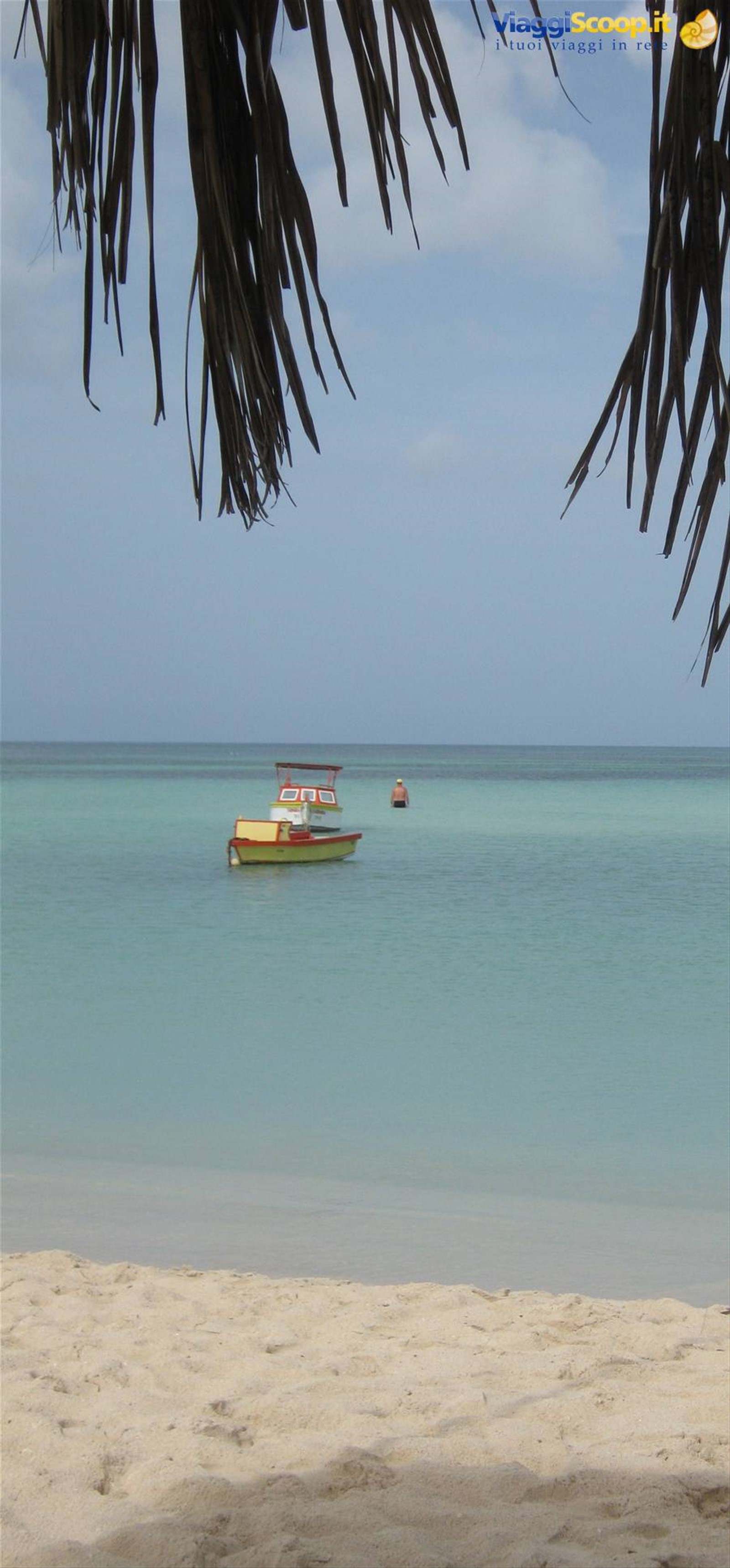 palm beach