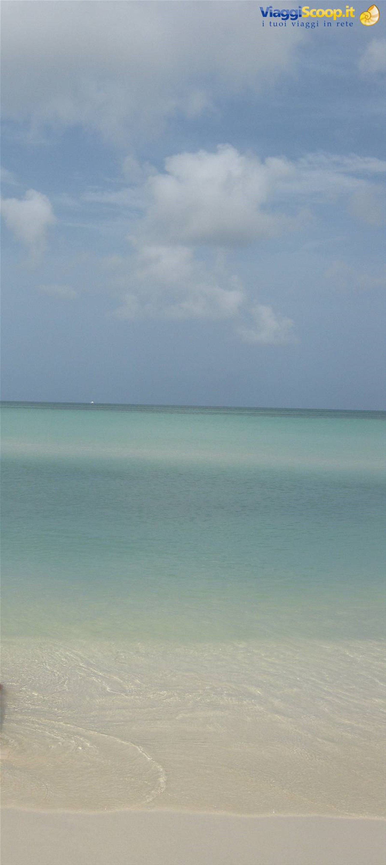 palm beach