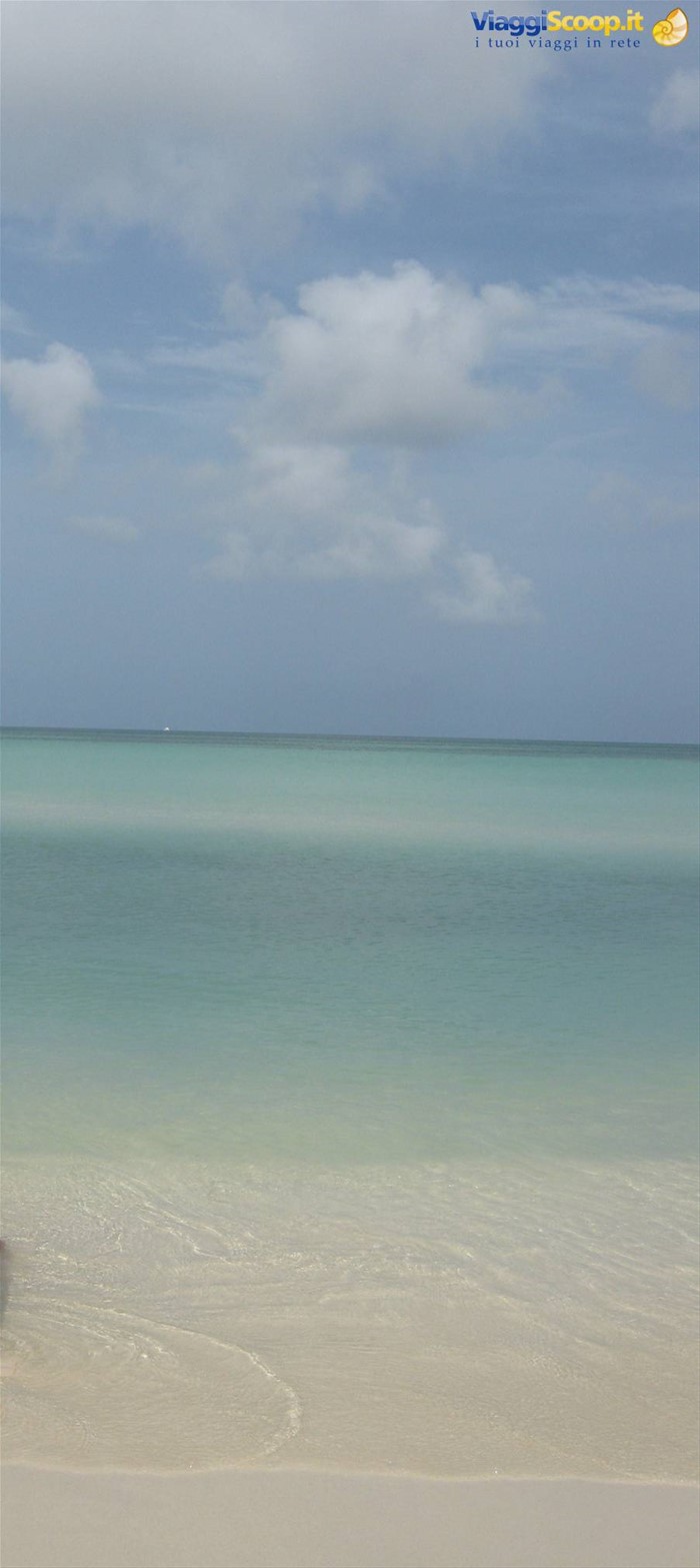 palm beach