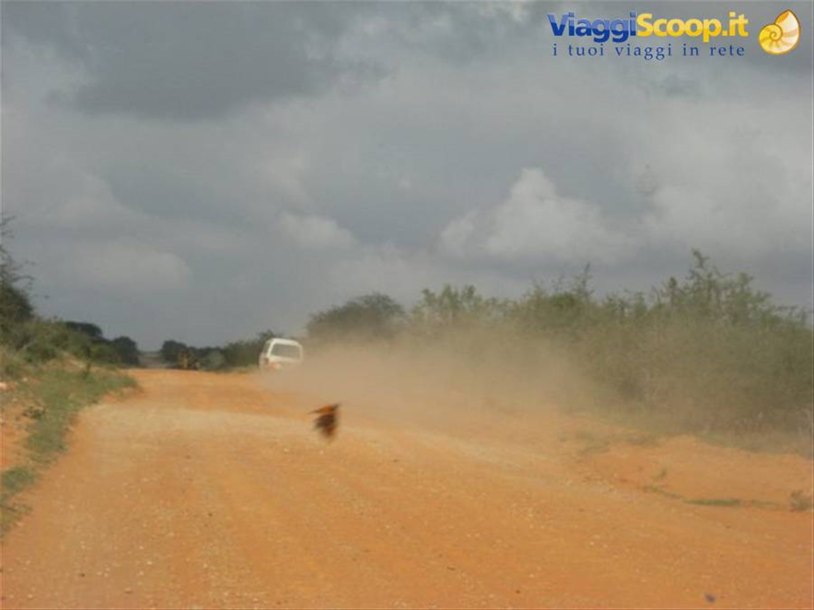 Foto di viaggio in KENYA