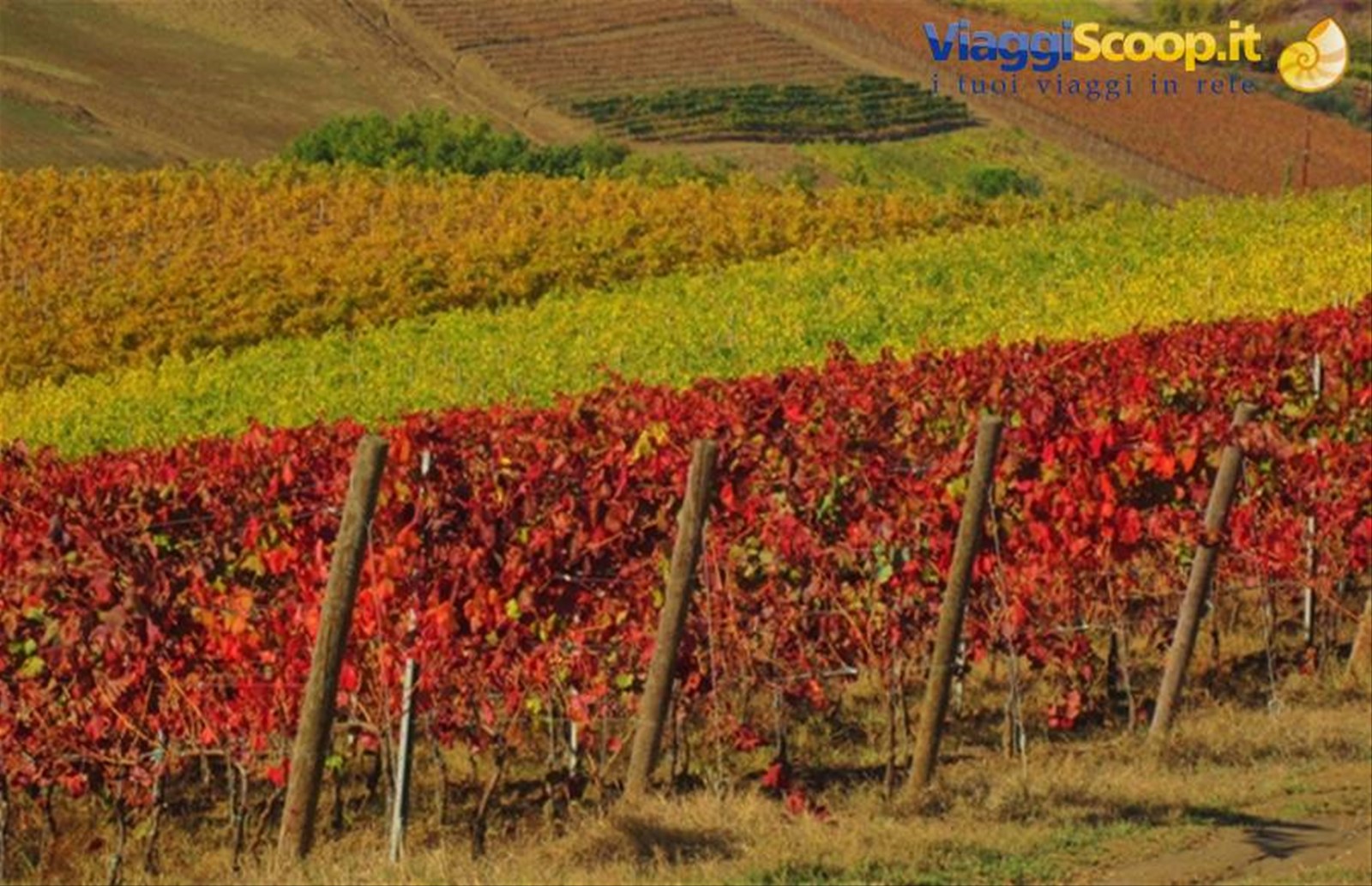 Autunno nel Chianti a Certaldo (FI), i colori della campagna toscana