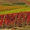 foto viaggio ITALIA