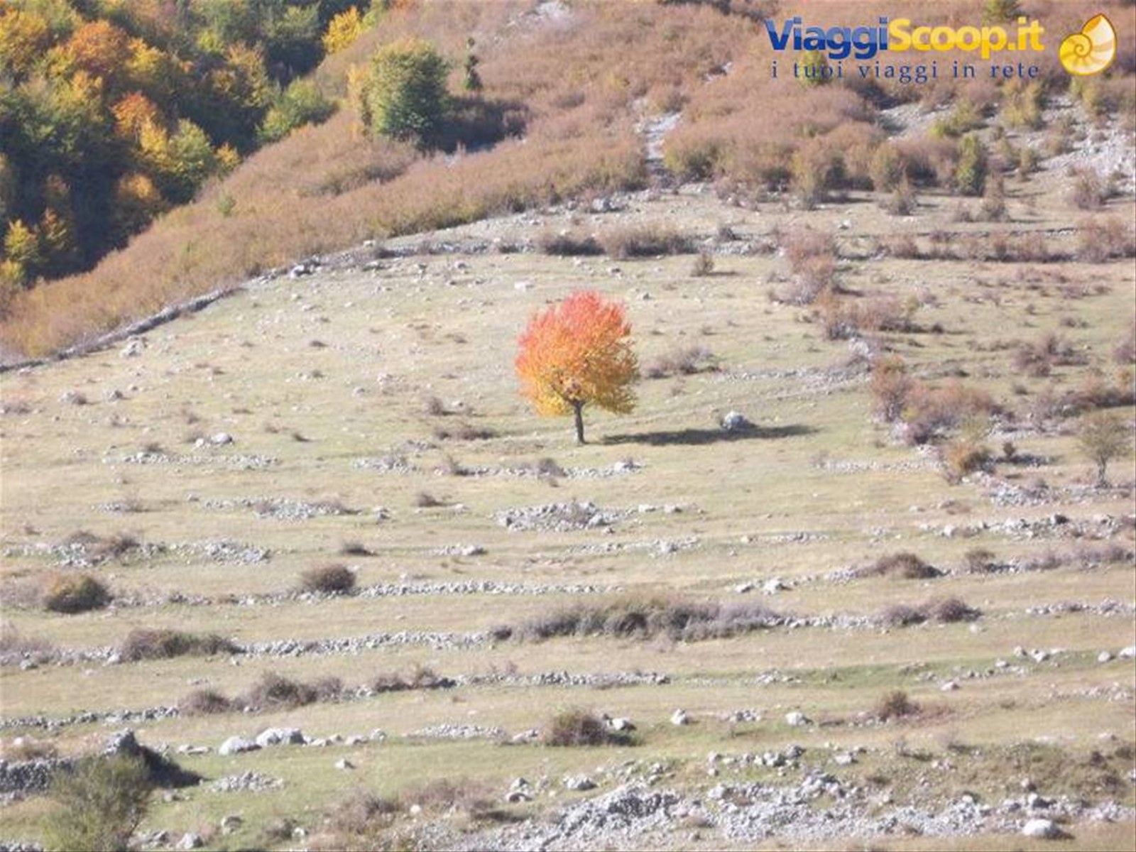Autunno in Albania