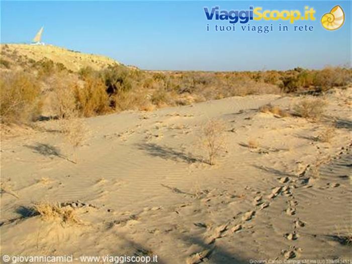 Lago d'Aral oggi