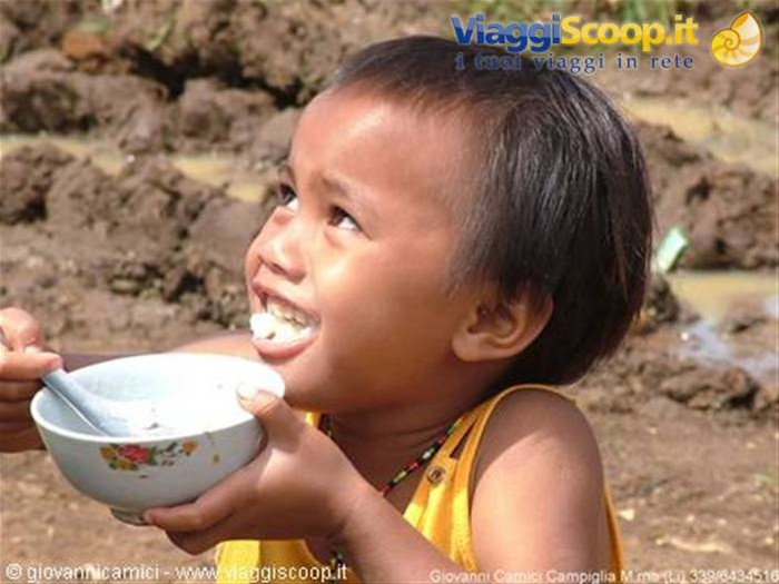 Bambino del  Chicken village