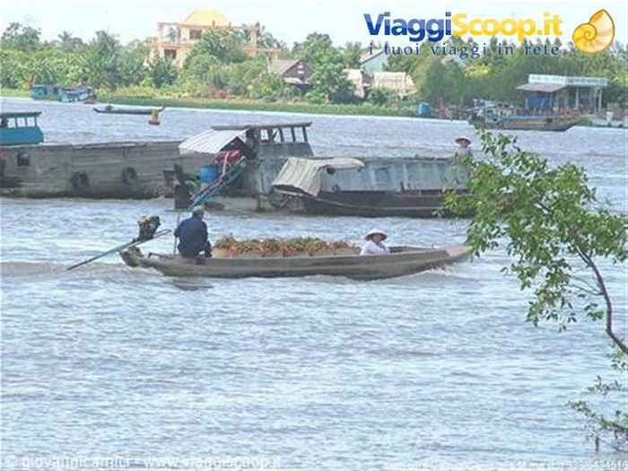 Paesaggio sul Mekong.