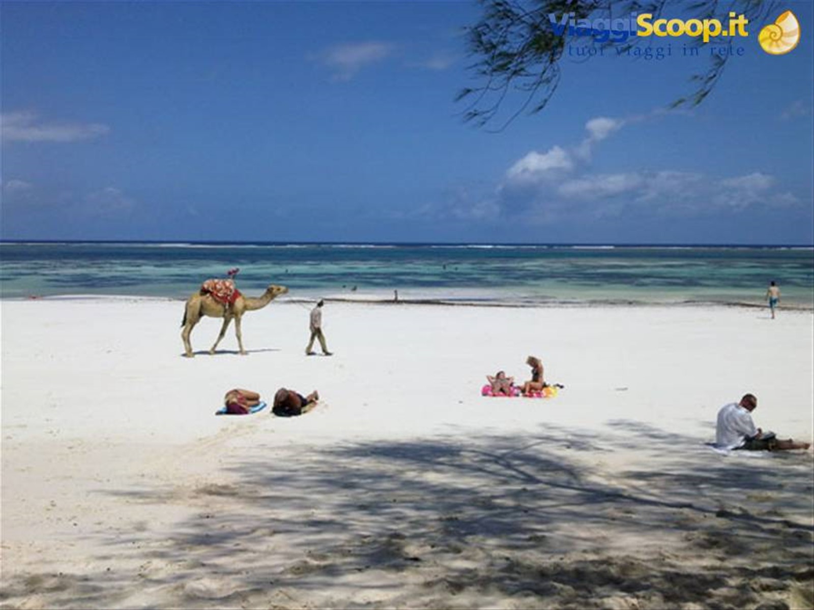 DIANI
