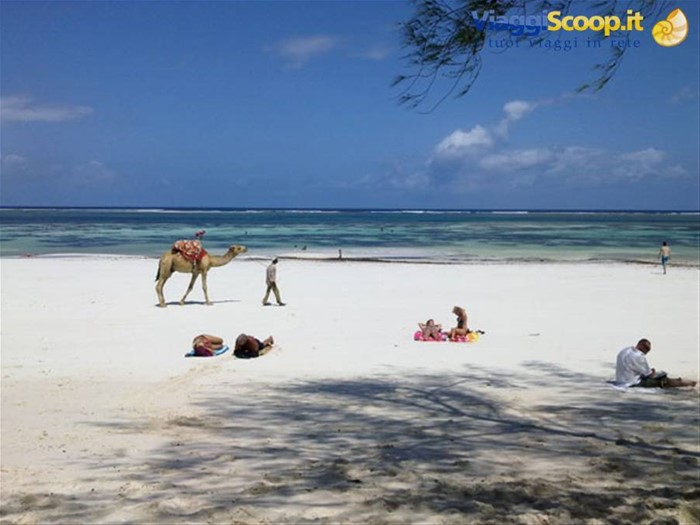 DIANI