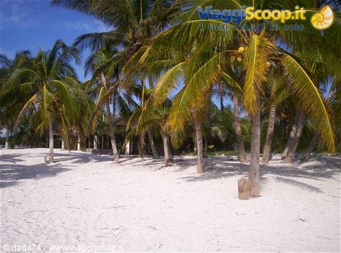 Playa paraiso..