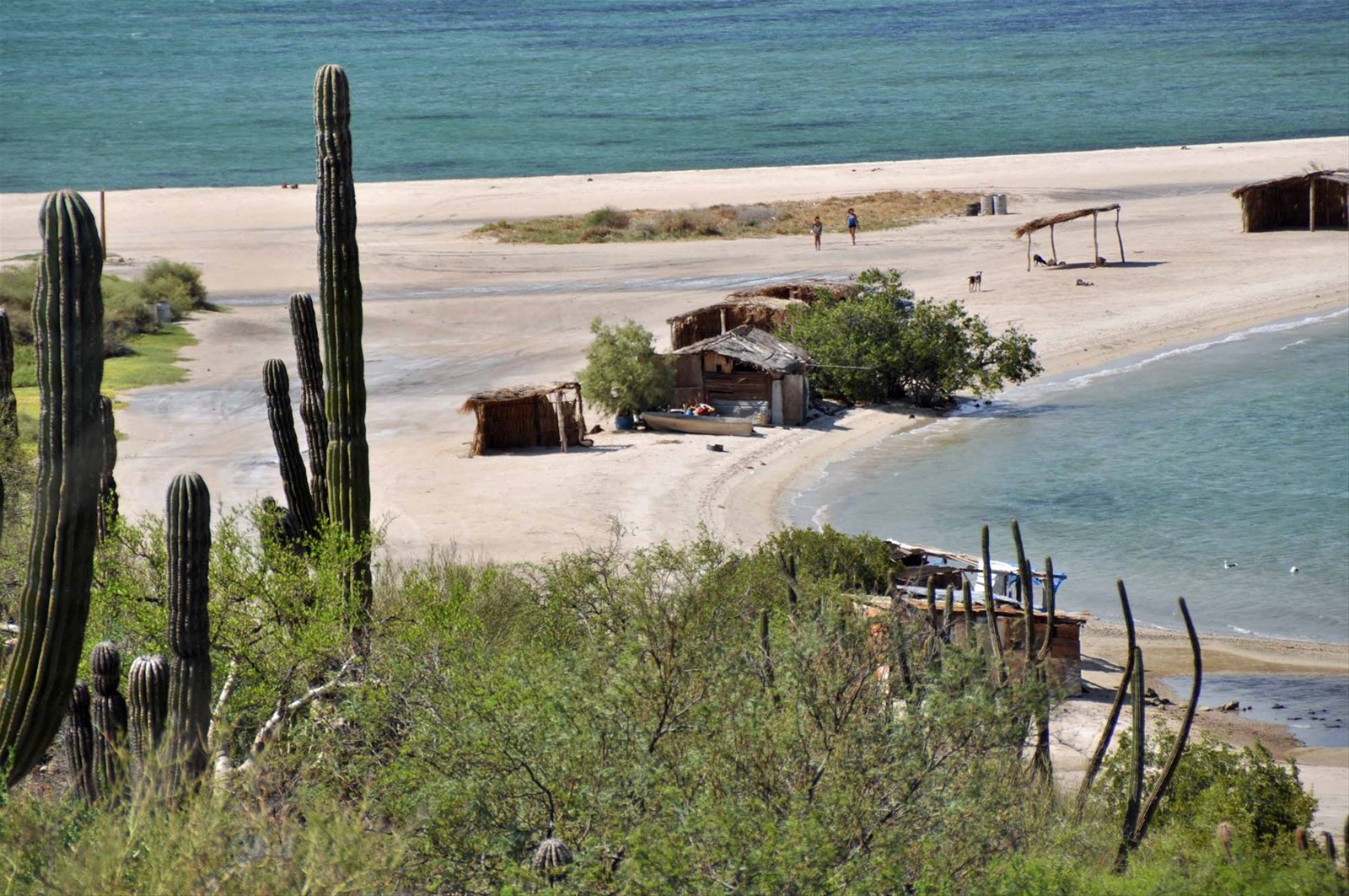 spiaggia in Baja conception