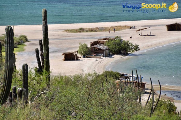 spiaggia in Baja conception