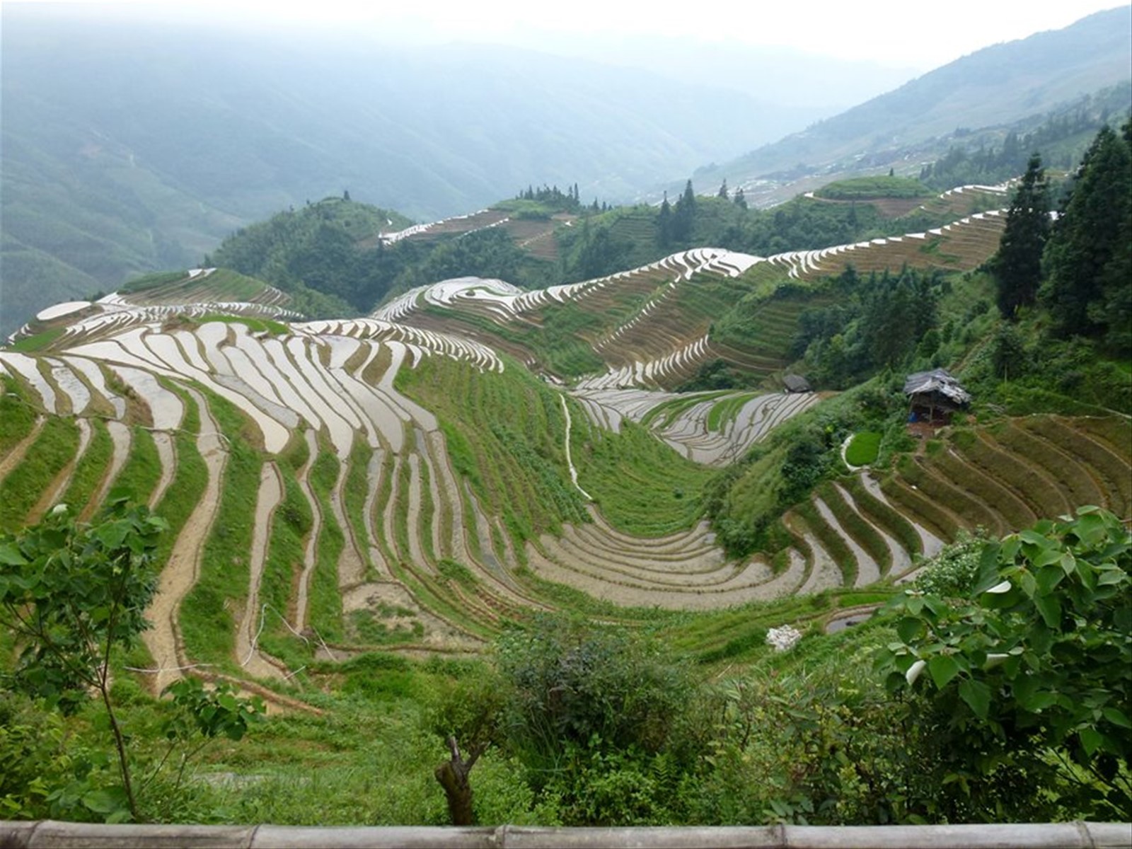 Foto di viaggio in CINA
