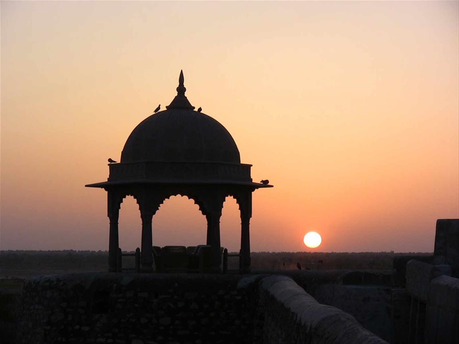 Foto di viaggio in INDIA