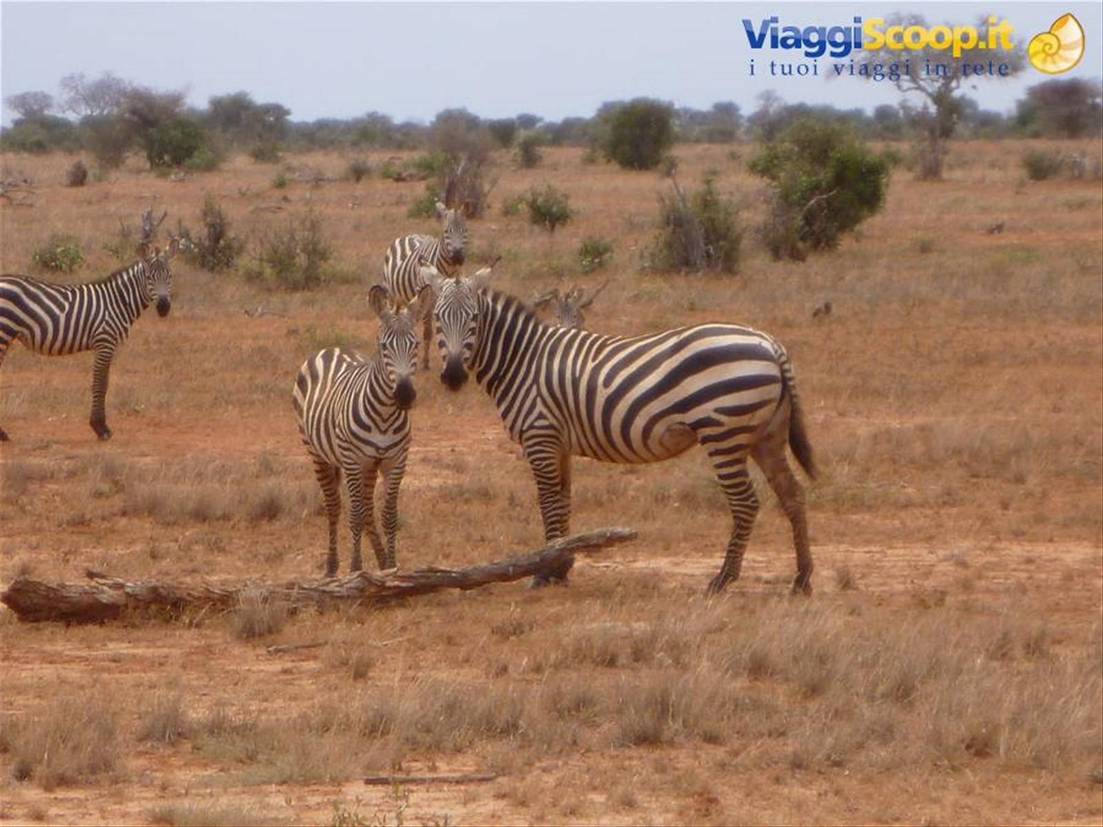 Foto di viaggio in KENYA
