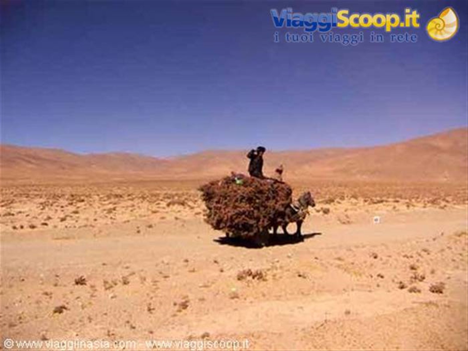 mezzo di trasporto nel deserto