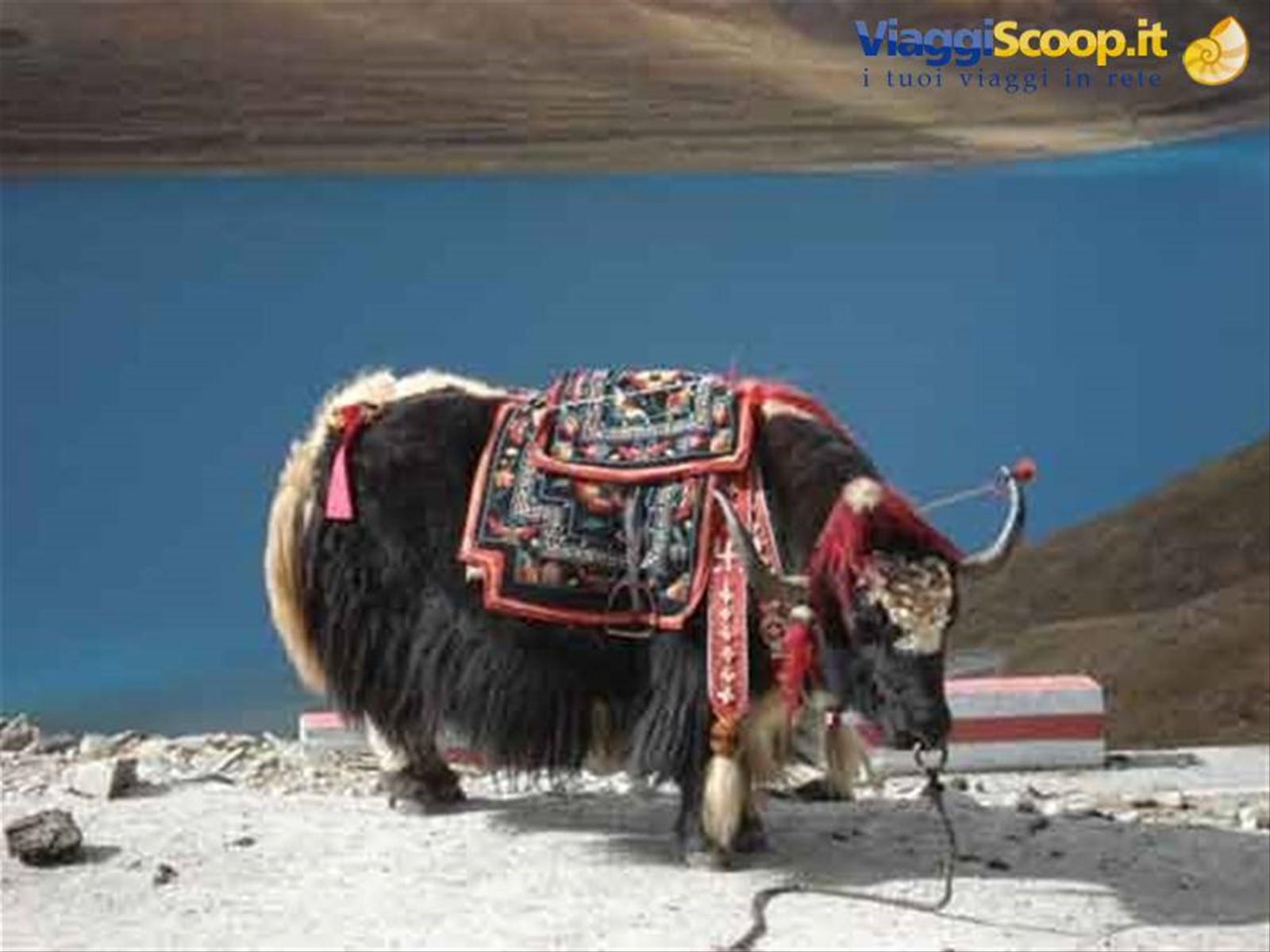 Foto di viaggio in CINA