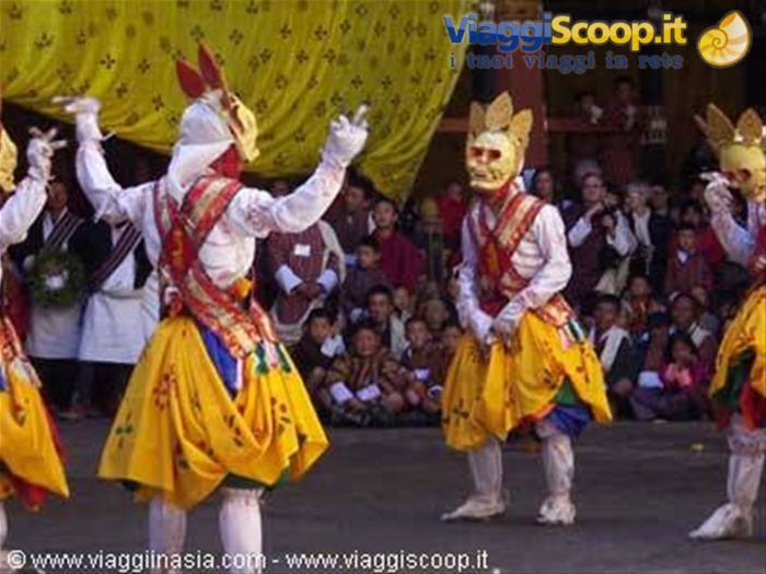 danze a paro