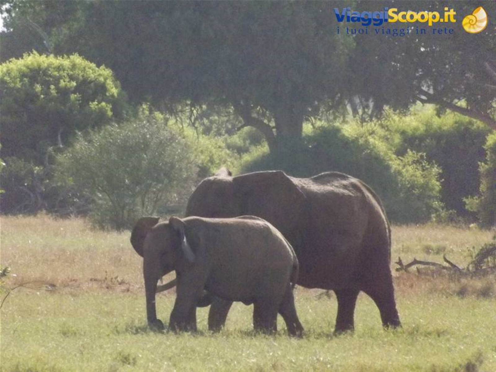 Zsavo East National Park