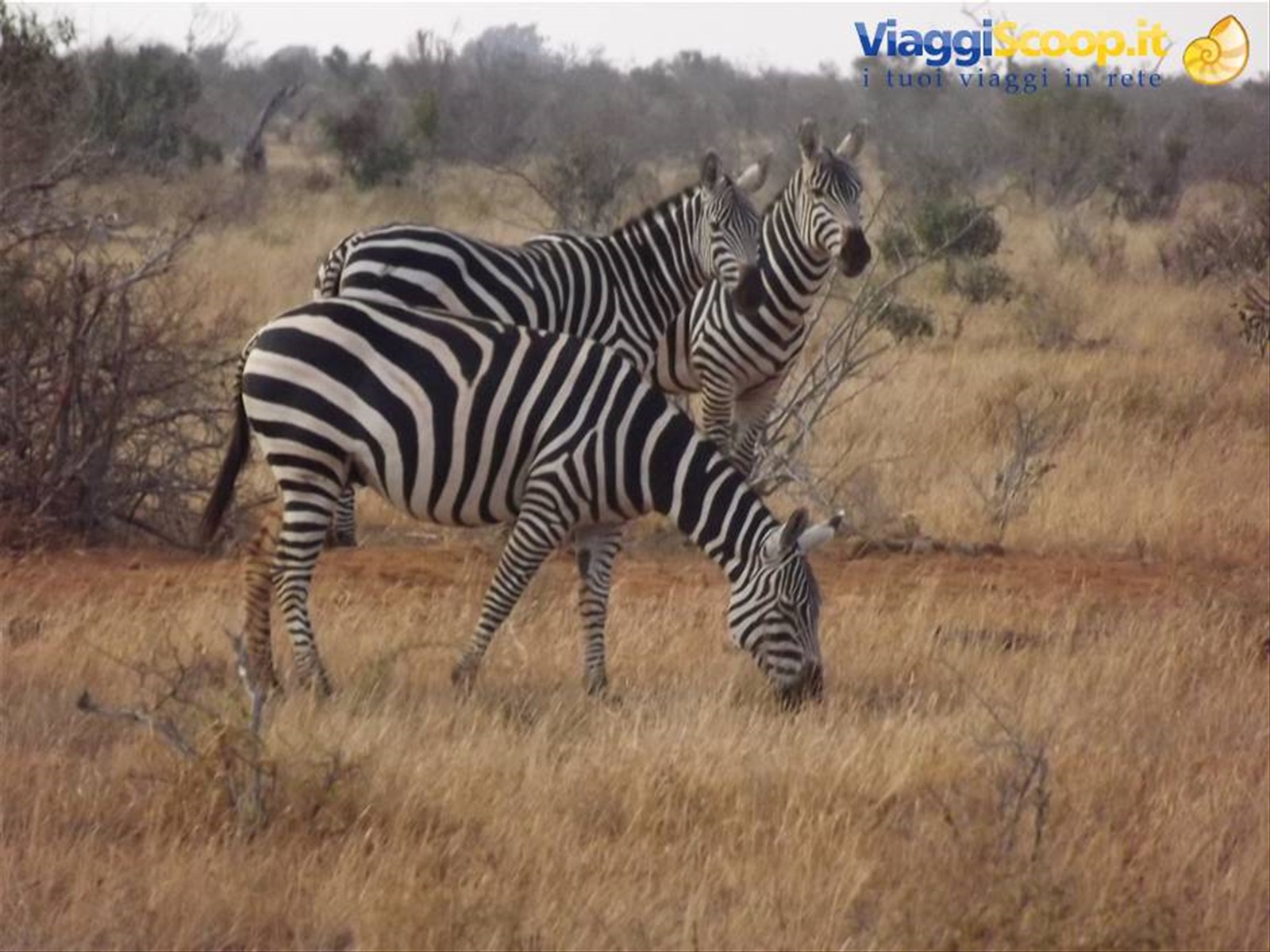 Zsavo East National Park