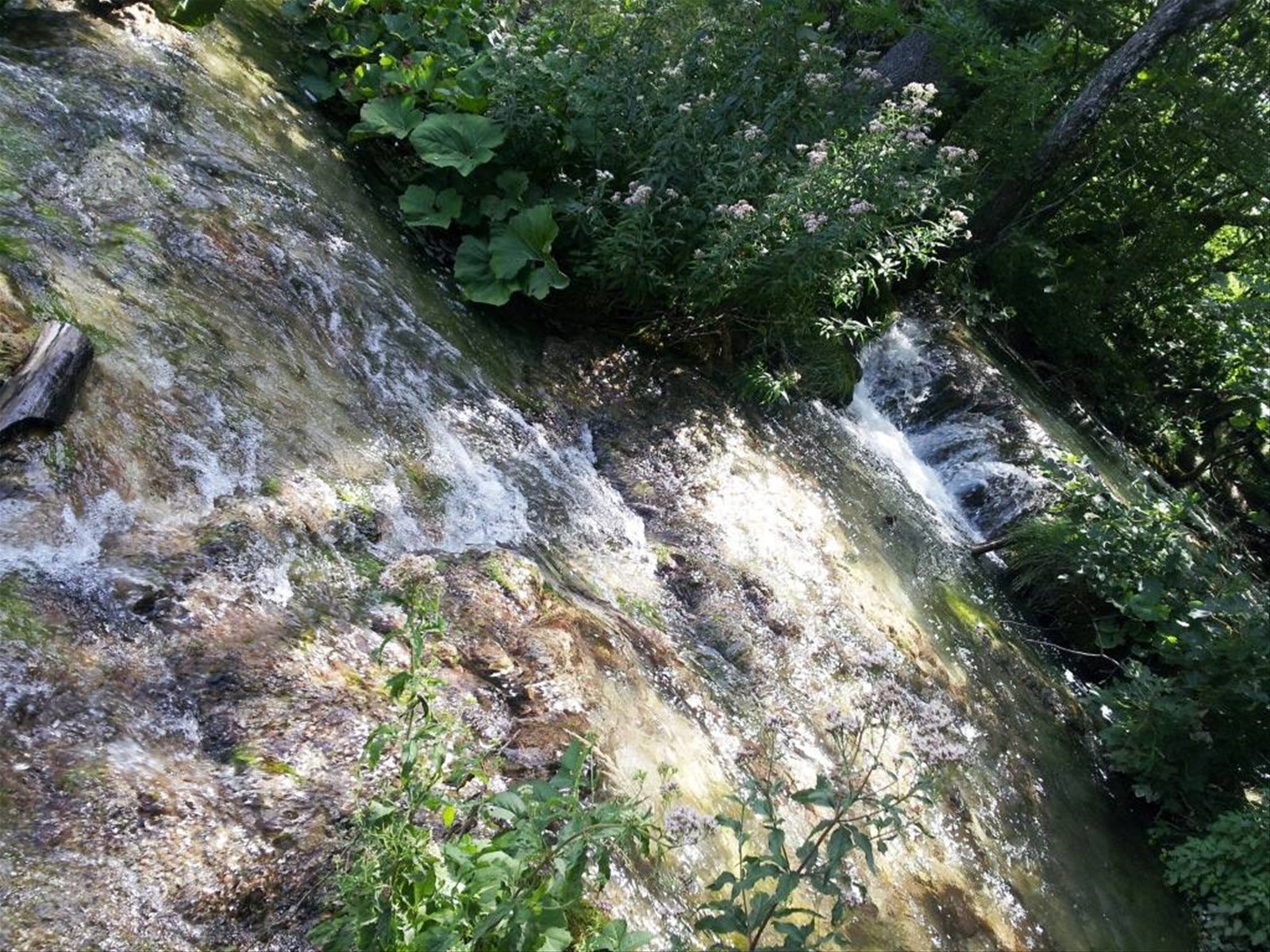 I laghi di Plitvice
