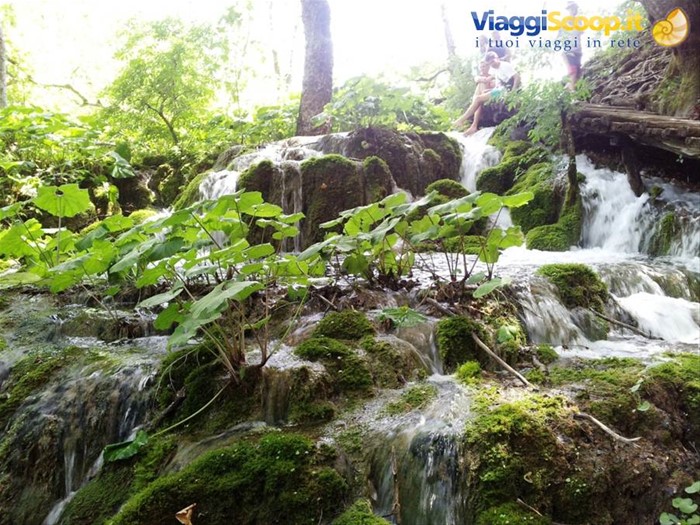 I laghi di Plitvice