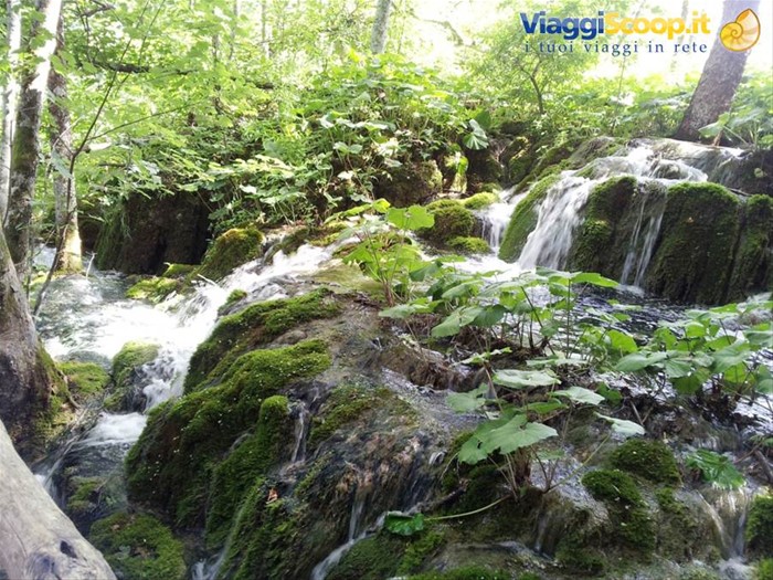 I laghi di Plitvice