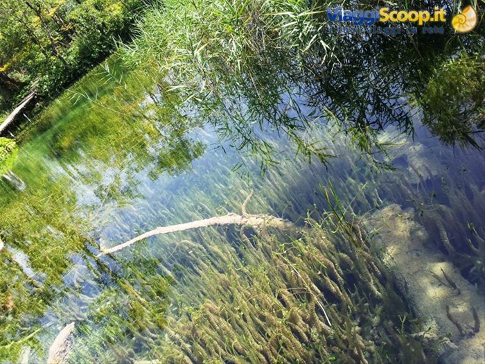 I laghi di Plitvice