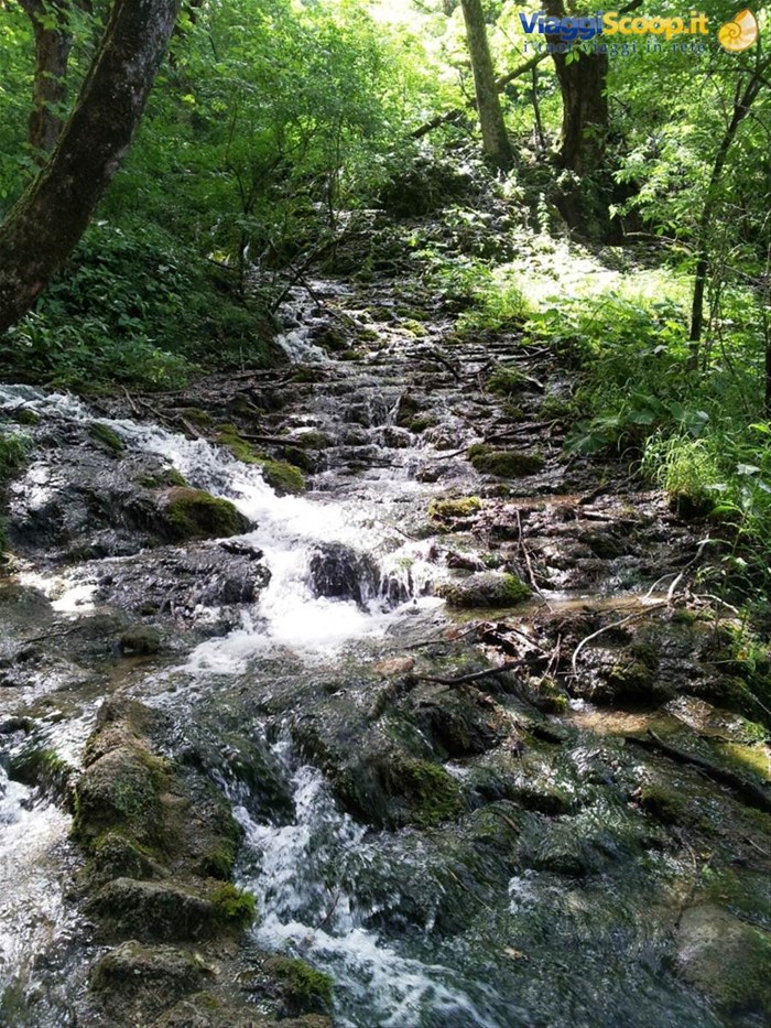 I laghi di Plitvice