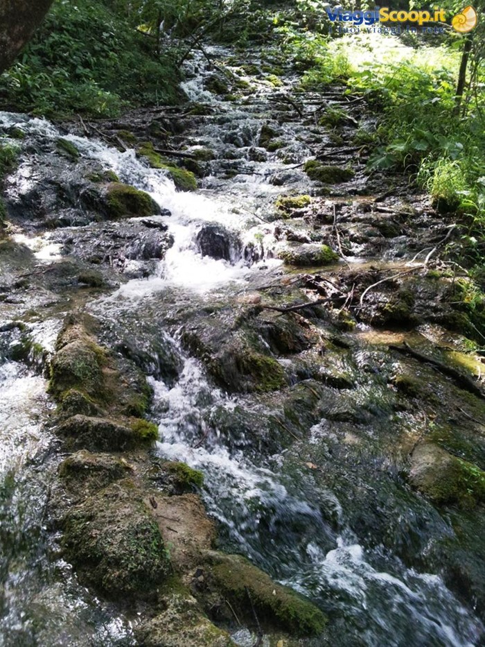 I laghi di Plitvice