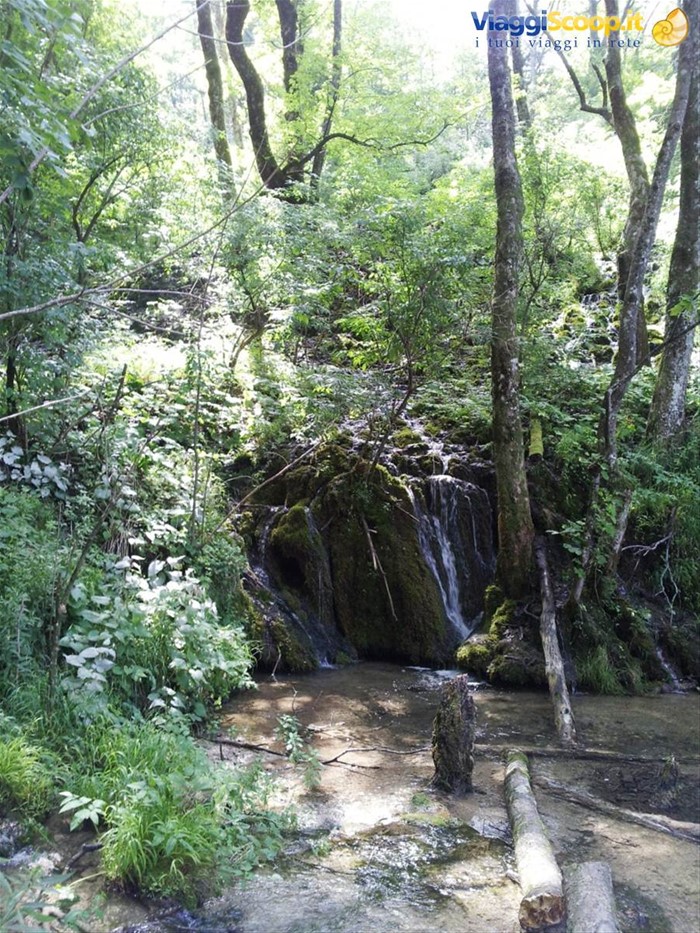 I laghi di Plitvice