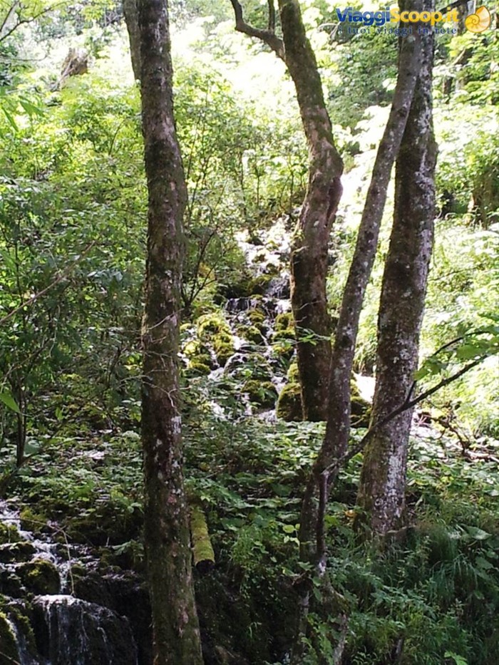I laghi di Plitvice