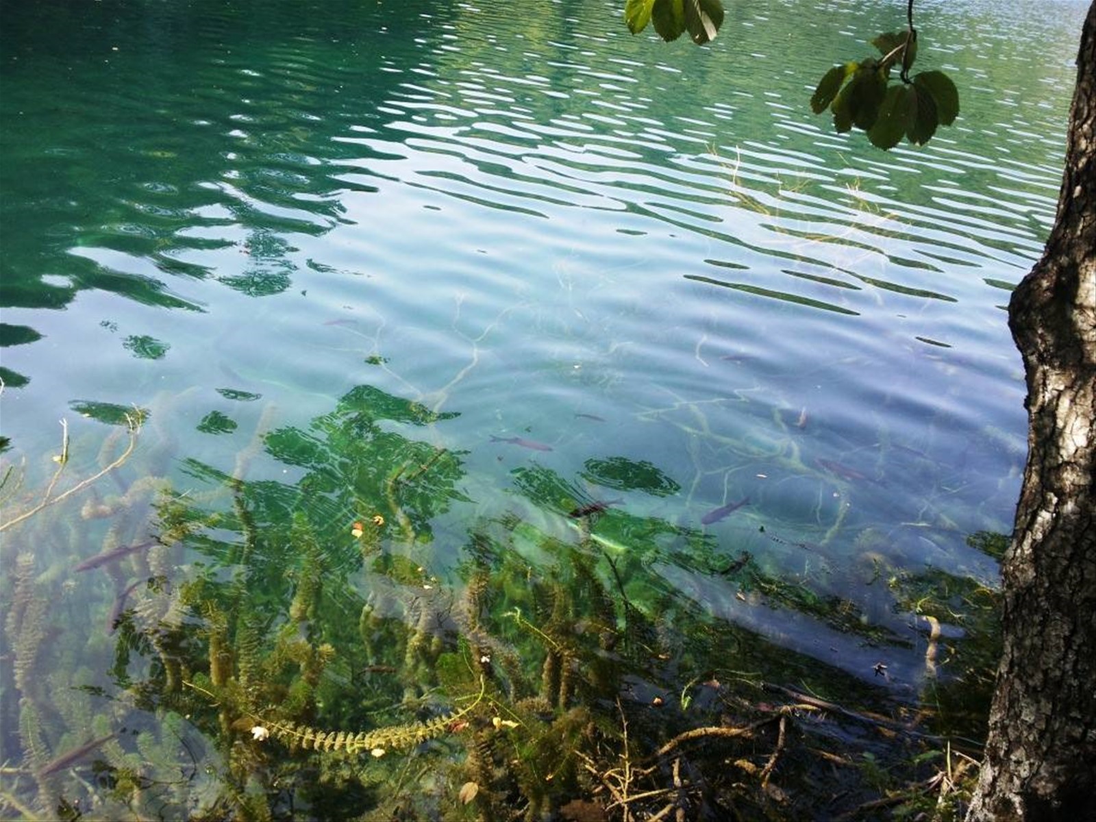 I laghi di Plitvice