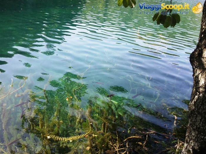 I laghi di Plitvice