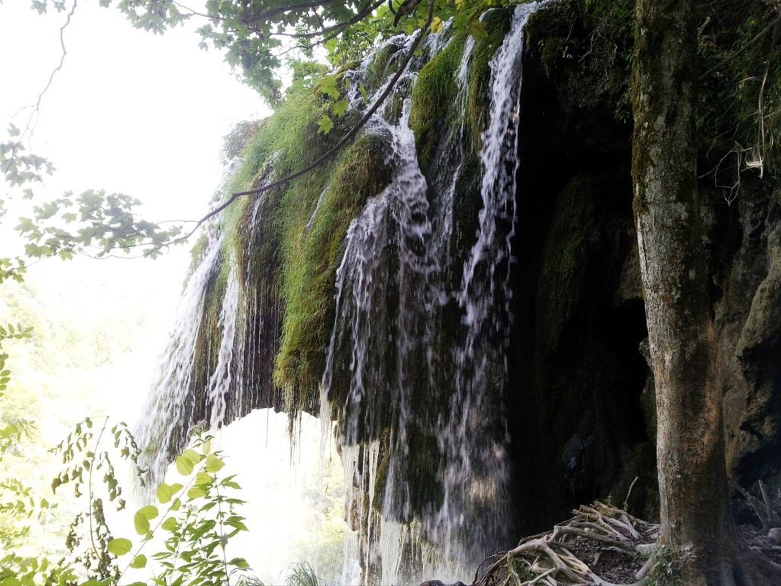 I laghi di Plitvice