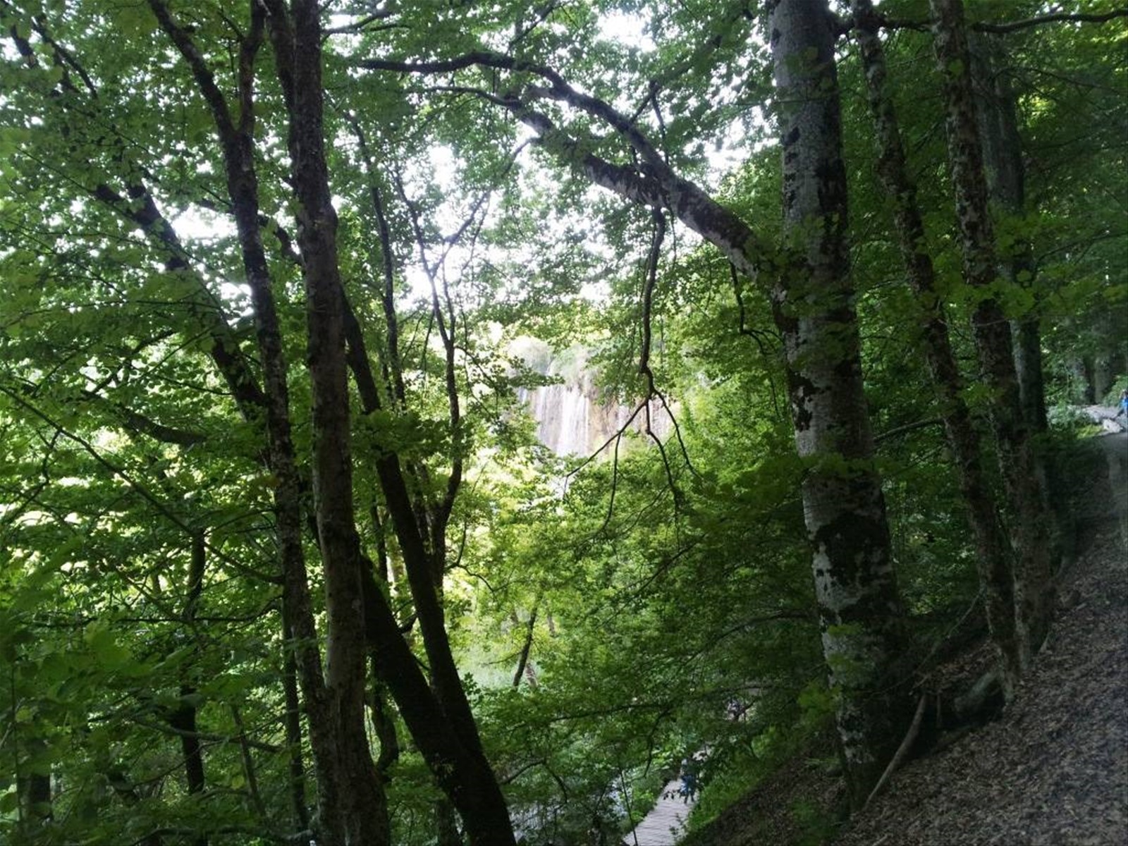 I laghi di Plitvice
