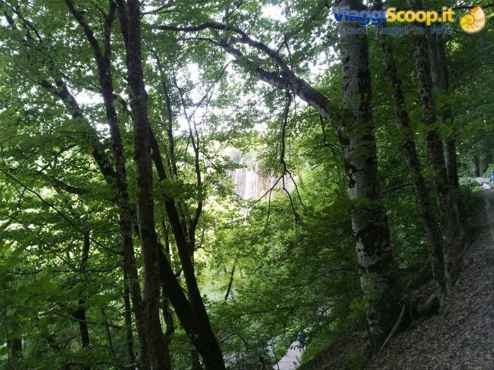 I laghi di Plitvice