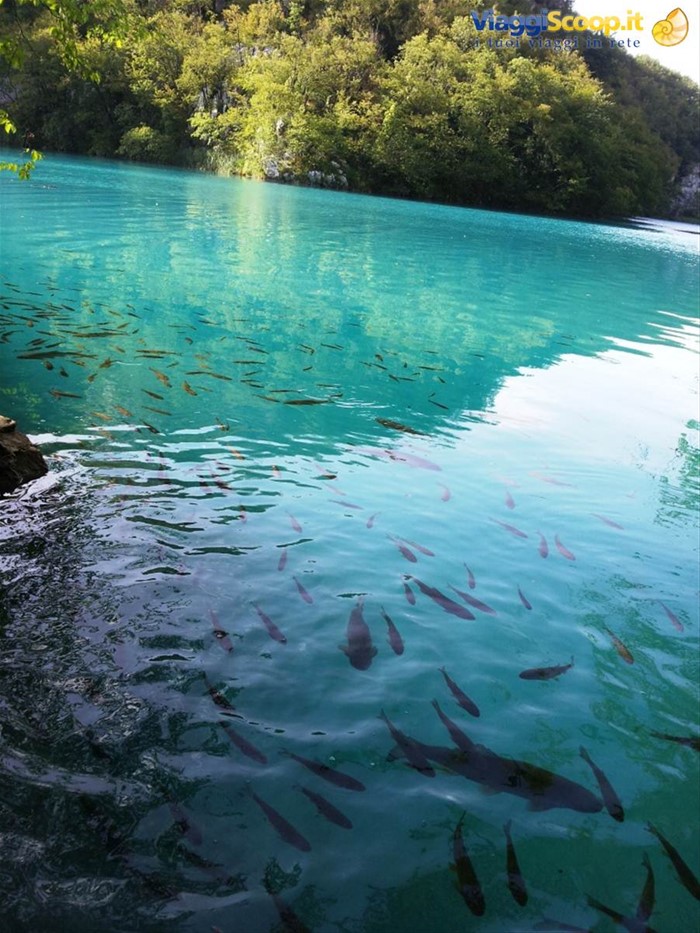 I laghi di Plitvice