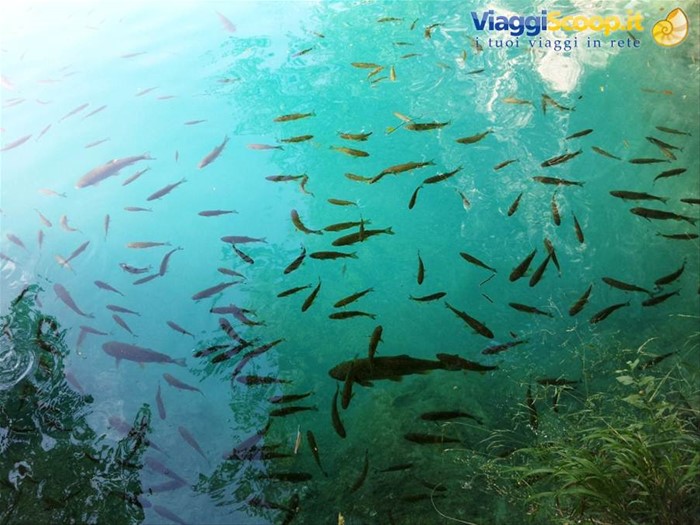 I laghi di Plitvice