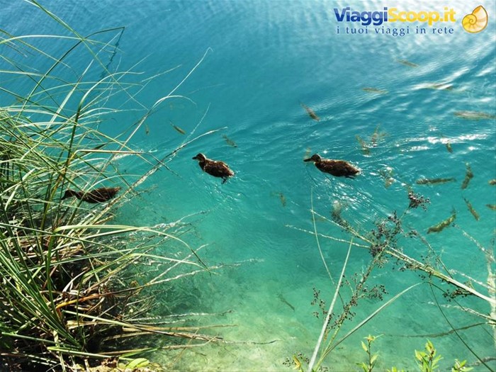 I laghi di Plitvice