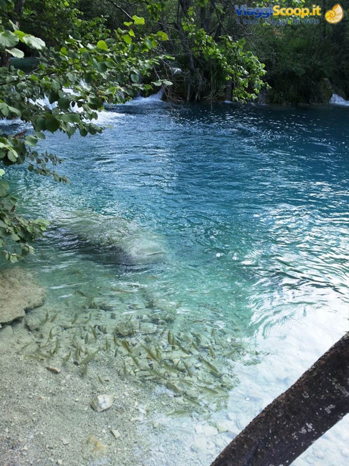 I laghi di Plitvice