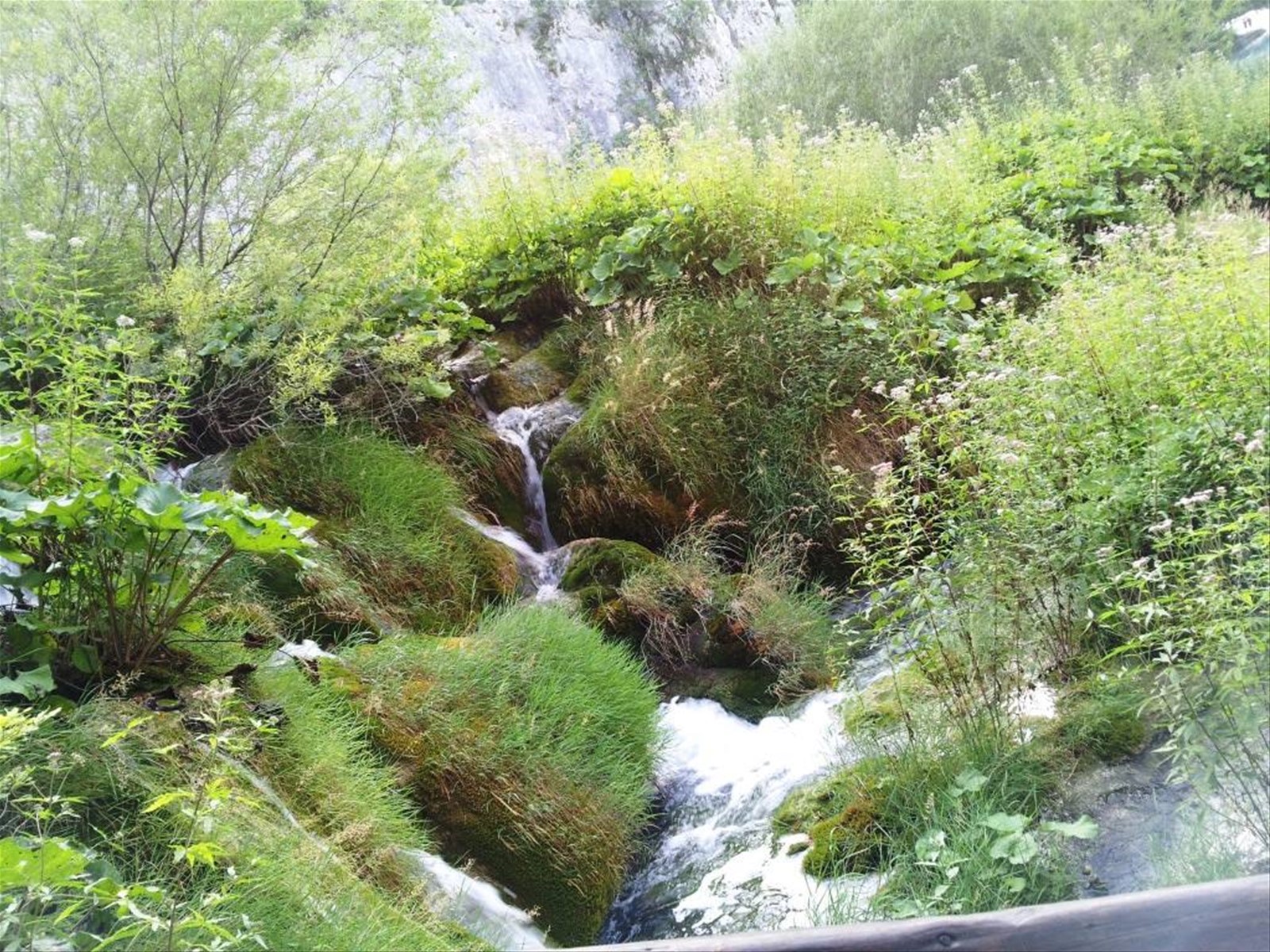 I laghi di Plitvice